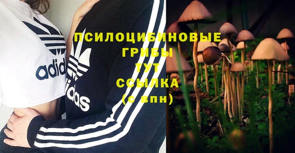 скорость Верея